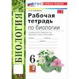 russische bücher: Богданов Николай Александрович - Биология. 6 класс. Рабочая тетрадь к учебнику В. В. Пасечника и др.