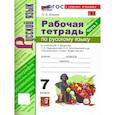 russische bücher: Фокина Ольга Анатольевна - Русский язык 7 класс Рабочая тетрадь