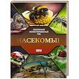 russische bücher: Спектор А.А. - Насекомые. Иллюстрированный гид