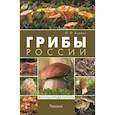 russische bücher: Карпов Ф.Ф. - Грибы России. Фотоопределитель