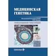 russische bücher: Асанов А.Ю., Бочков Н.П., Жученко Н.А. - Медицинская генетика: Учебник