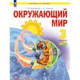 russische bücher: Дмитриева Нинель Яковлевна - Окружающий мир 3 класс часть 1 Учебное пособие