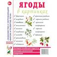 russische bücher: Кулакова Н. - Ягоды в картинках