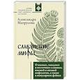 russische bücher: Матрусова А.Н. - Славянские мифы. О южных, западных и восточных славянах, высшей и низшей мифологии, а также о популярных фейках